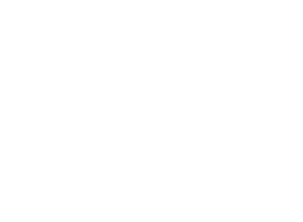 Slim Store